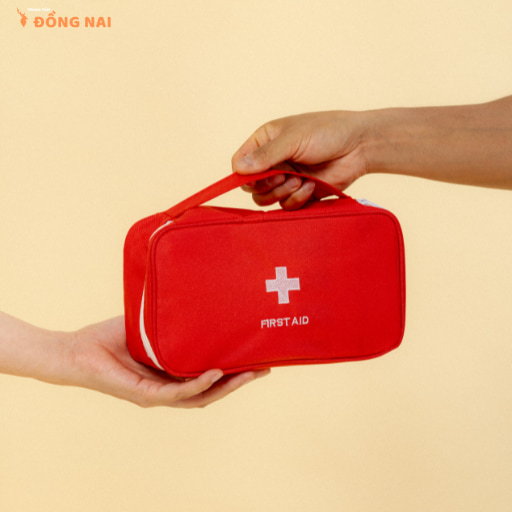 Hướng dẫn sơ cứu rắn cắn