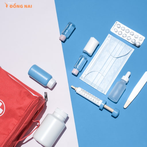 Sơ cứu khi bị rắn cắn