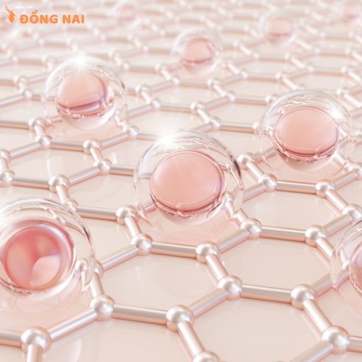 Cấu trúc da mặt 