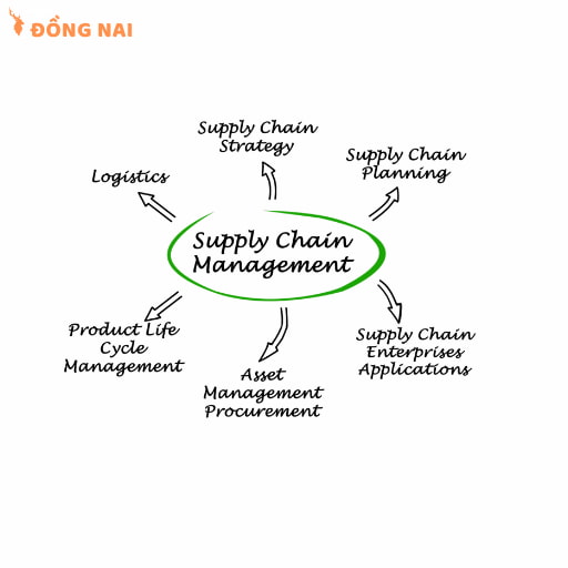 Lộ trình triển khai cho doanh nghiệp Việt Nam