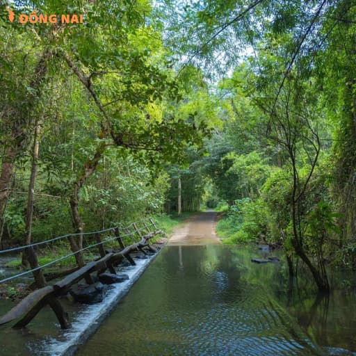 Rừng Quốc gia Cát Tiên