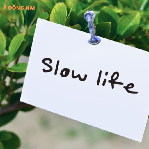 Khái Niệm Và Triết Lý Sống Chậm (Slow Living)